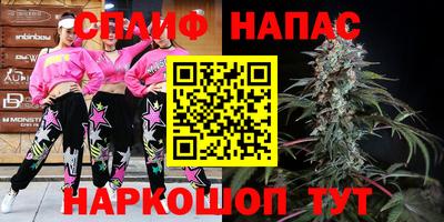 индика Краснознаменск
