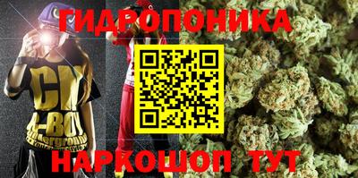 индика Краснознаменск